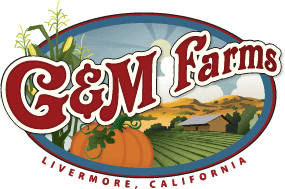 G & M Farms | Pumpkin Patch in Livermore, CA